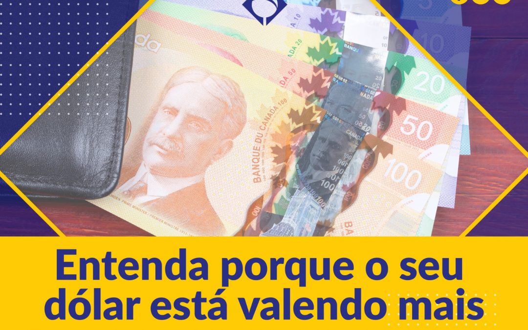 Entenda porque o seu dólar está valendo mais